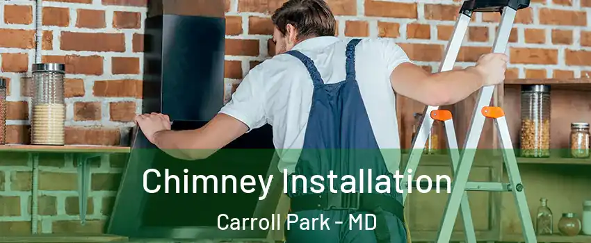 Chimney Installation Carroll Park - MD