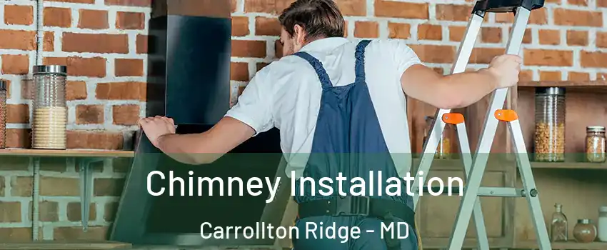 Chimney Installation Carrollton Ridge - MD