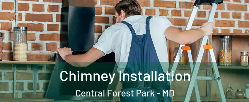 Chimney Installation Central Forest Park - MD