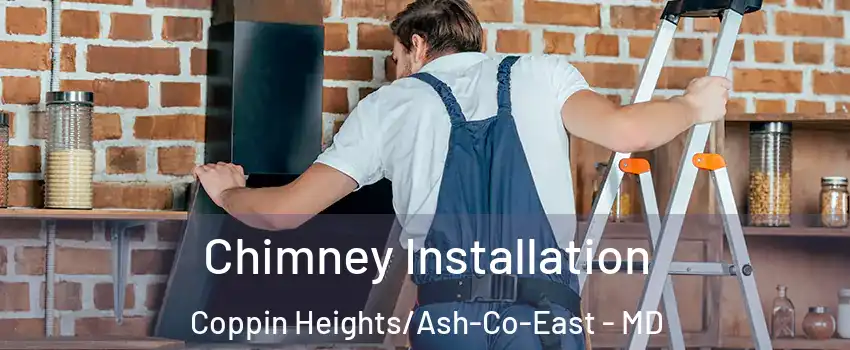 Chimney Installation Coppin Heights/Ash-Co-East - MD