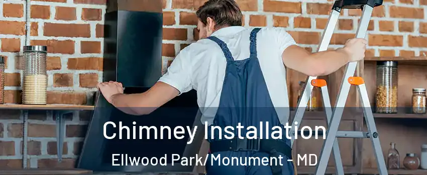 Chimney Installation Ellwood Park/Monument - MD