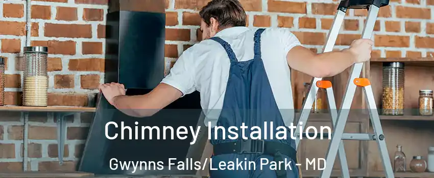 Chimney Installation Gwynns Falls/Leakin Park - MD