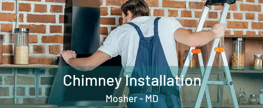 Chimney Installation Mosher - MD