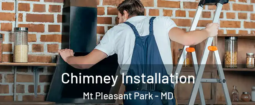 Chimney Installation Mt Pleasant Park - MD