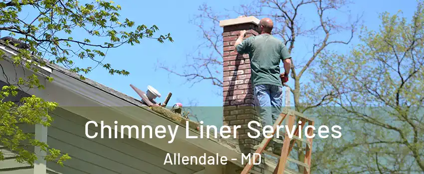 Chimney Liner Services Allendale - MD