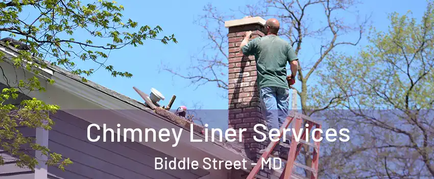 Chimney Liner Services Biddle Street - MD