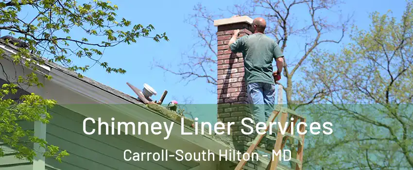 Chimney Liner Services Carroll-South Hilton - MD