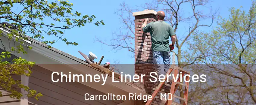 Chimney Liner Services Carrollton Ridge - MD