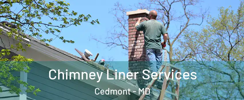 Chimney Liner Services Cedmont - MD