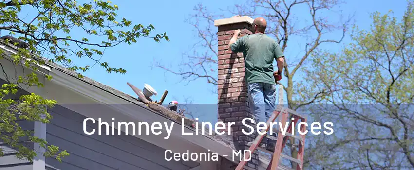 Chimney Liner Services Cedonia - MD