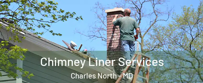 Chimney Liner Services Charles North - MD