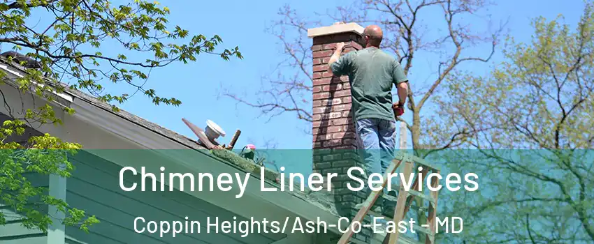 Chimney Liner Services Coppin Heights/Ash-Co-East - MD