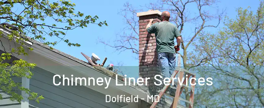 Chimney Liner Services Dolfield - MD
