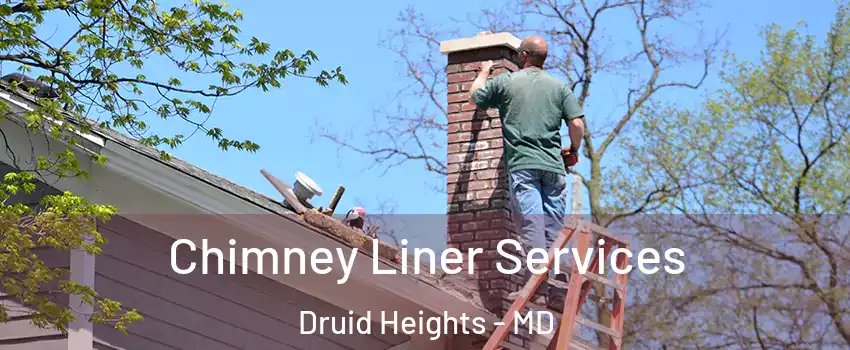 Chimney Liner Services Druid Heights - MD