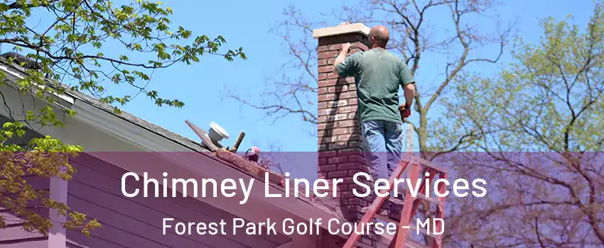 Chimney Liner Services Forest Park Golf Course - MD