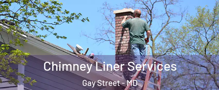 Chimney Liner Services Gay Street - MD