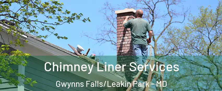 Chimney Liner Services Gwynns Falls/Leakin Park - MD