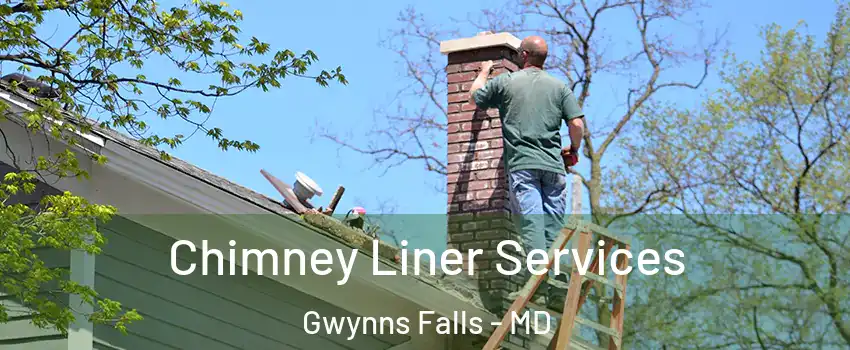 Chimney Liner Services Gwynns Falls - MD