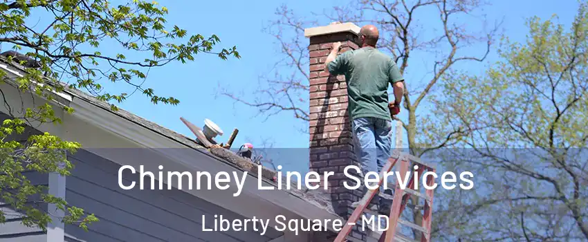 Chimney Liner Services Liberty Square - MD