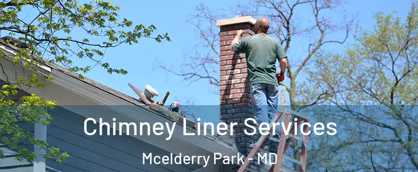 Chimney Liner Services Mcelderry Park - MD