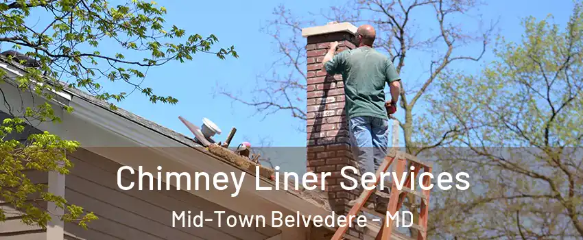 Chimney Liner Services Mid-Town Belvedere - MD