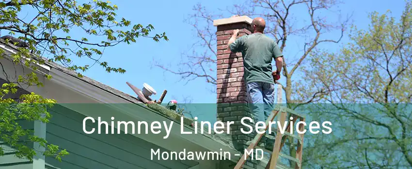 Chimney Liner Services Mondawmin - MD