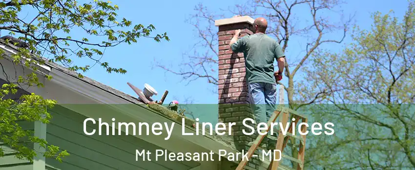 Chimney Liner Services Mt Pleasant Park - MD