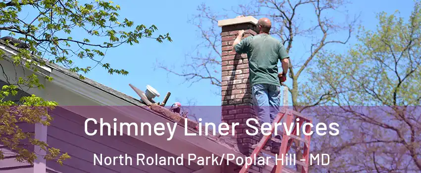 Chimney Liner Services North Roland Park/Poplar Hill - MD