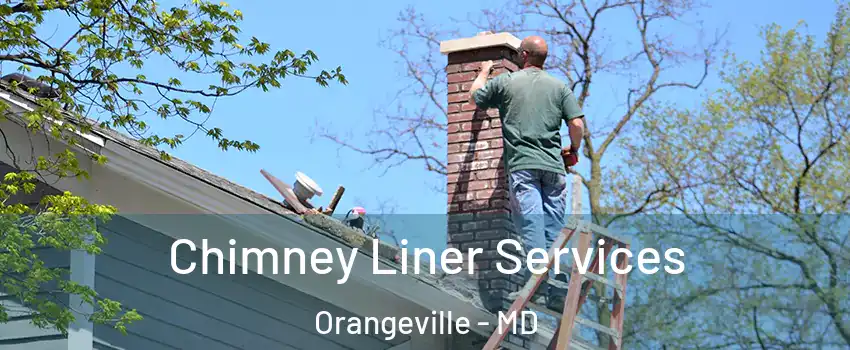 Chimney Liner Services Orangeville - MD
