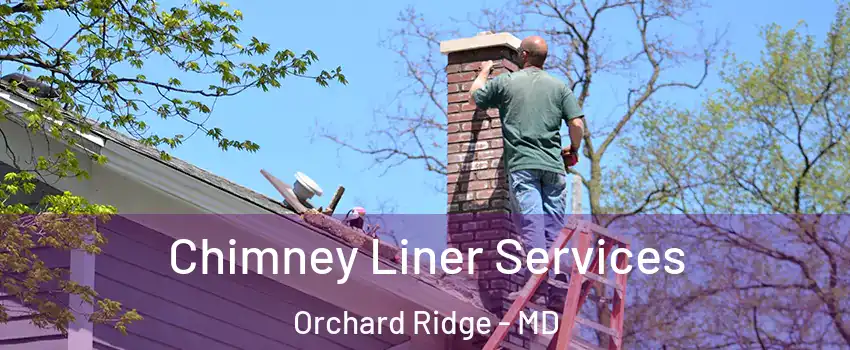 Chimney Liner Services Orchard Ridge - MD