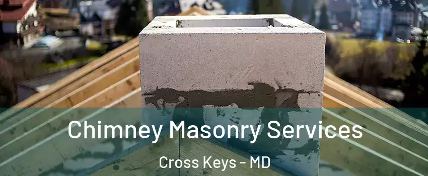 Chimney Masonry Services Cross Keys - MD
