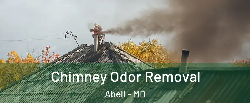 Chimney Odor Removal Abell - MD