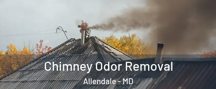 Chimney Odor Removal Allendale - MD
