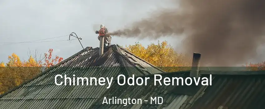 Chimney Odor Removal Arlington - MD