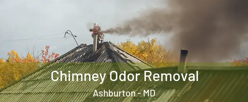 Chimney Odor Removal Ashburton - MD