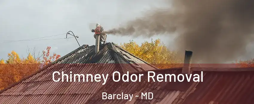 Chimney Odor Removal Barclay - MD
