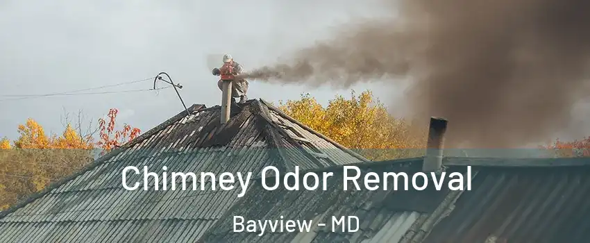 Chimney Odor Removal Bayview - MD