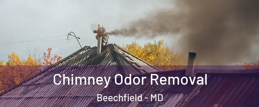 Chimney Odor Removal Beechfield - MD
