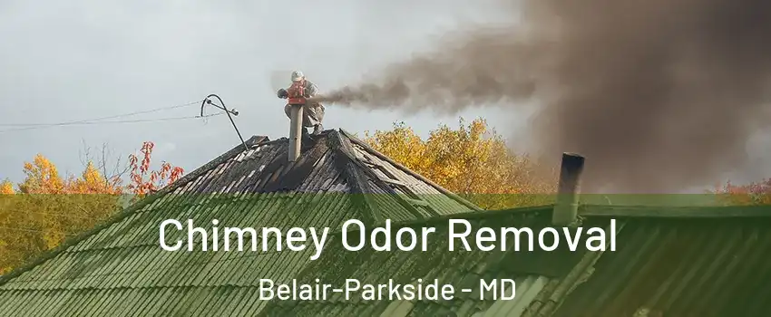 Chimney Odor Removal Belair-Parkside - MD