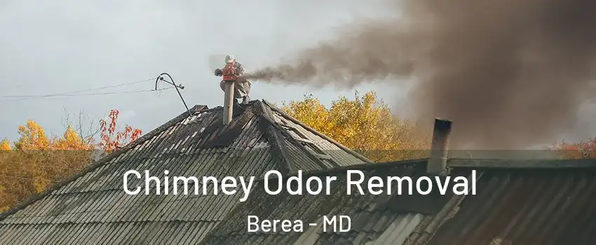 Chimney Odor Removal Berea - MD
