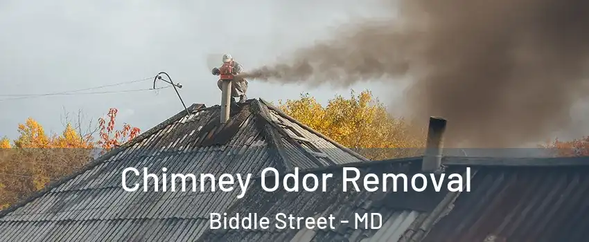 Chimney Odor Removal Biddle Street - MD