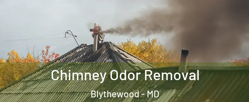 Chimney Odor Removal Blythewood - MD
