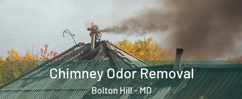 Chimney Odor Removal Bolton Hill - MD