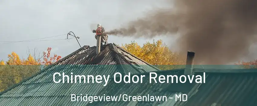 Chimney Odor Removal Bridgeview/Greenlawn - MD