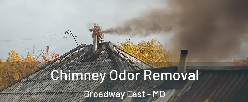 Chimney Odor Removal Broadway East - MD