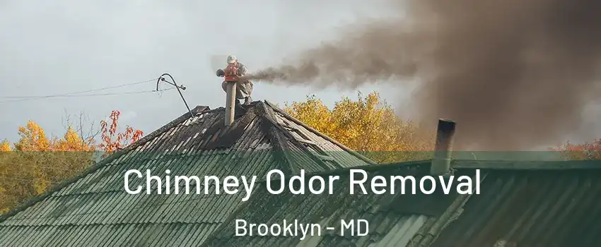Chimney Odor Removal Brooklyn - MD