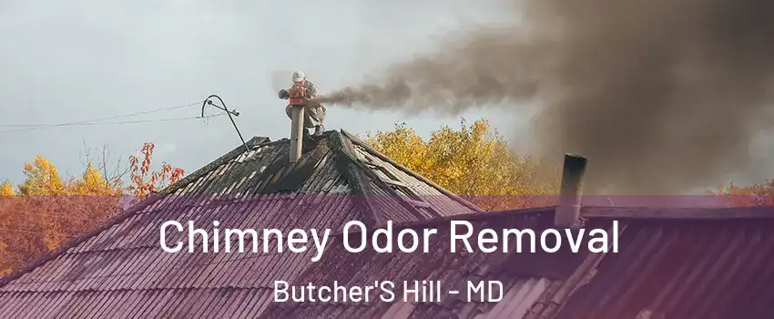 Chimney Odor Removal Butcher'S Hill - MD