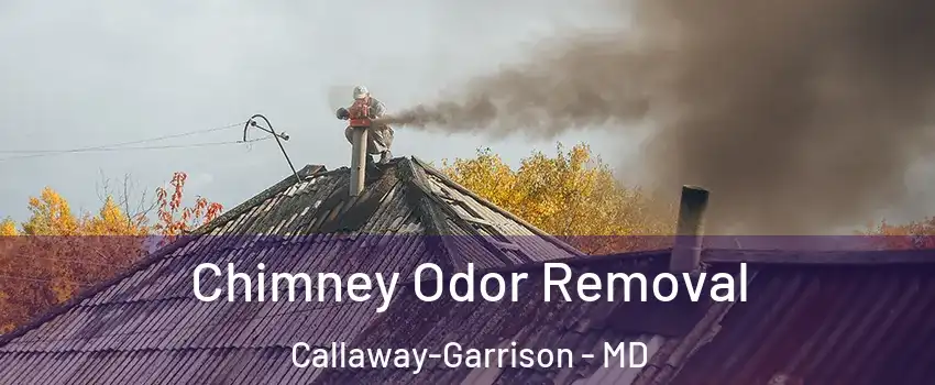 Chimney Odor Removal Callaway-Garrison - MD