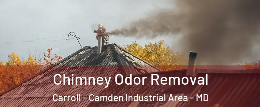 Chimney Odor Removal Carroll - Camden Industrial Area - MD