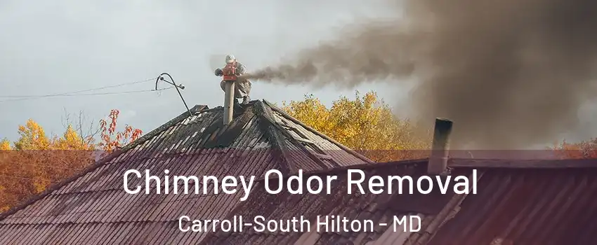 Chimney Odor Removal Carroll-South Hilton - MD